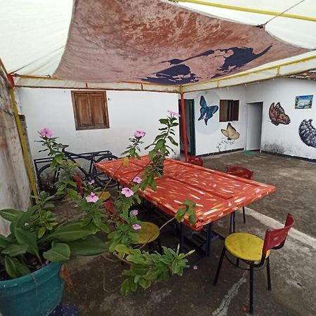 Hostal Donde Jose Guadalupe Kültér fotó